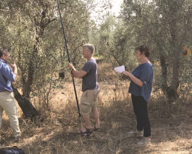 החוקרים האיטלקים והחוקר הישראלי מודדים את נפח העלווה המסייעת בקיבוע פחמן בכרם הזיתים של מומי גרטי בכפר בן נון