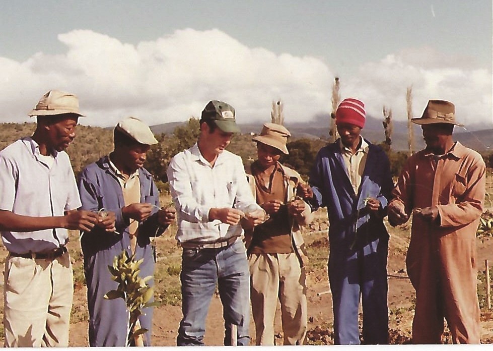 סיסקאי שמאי ביום הדגמה לחקלאים אפריקאיים.