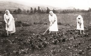 1912 עלמות מקבוצת חנה מייזל קבוצת העלמות בחצר כנרת בעבודת גן הירק