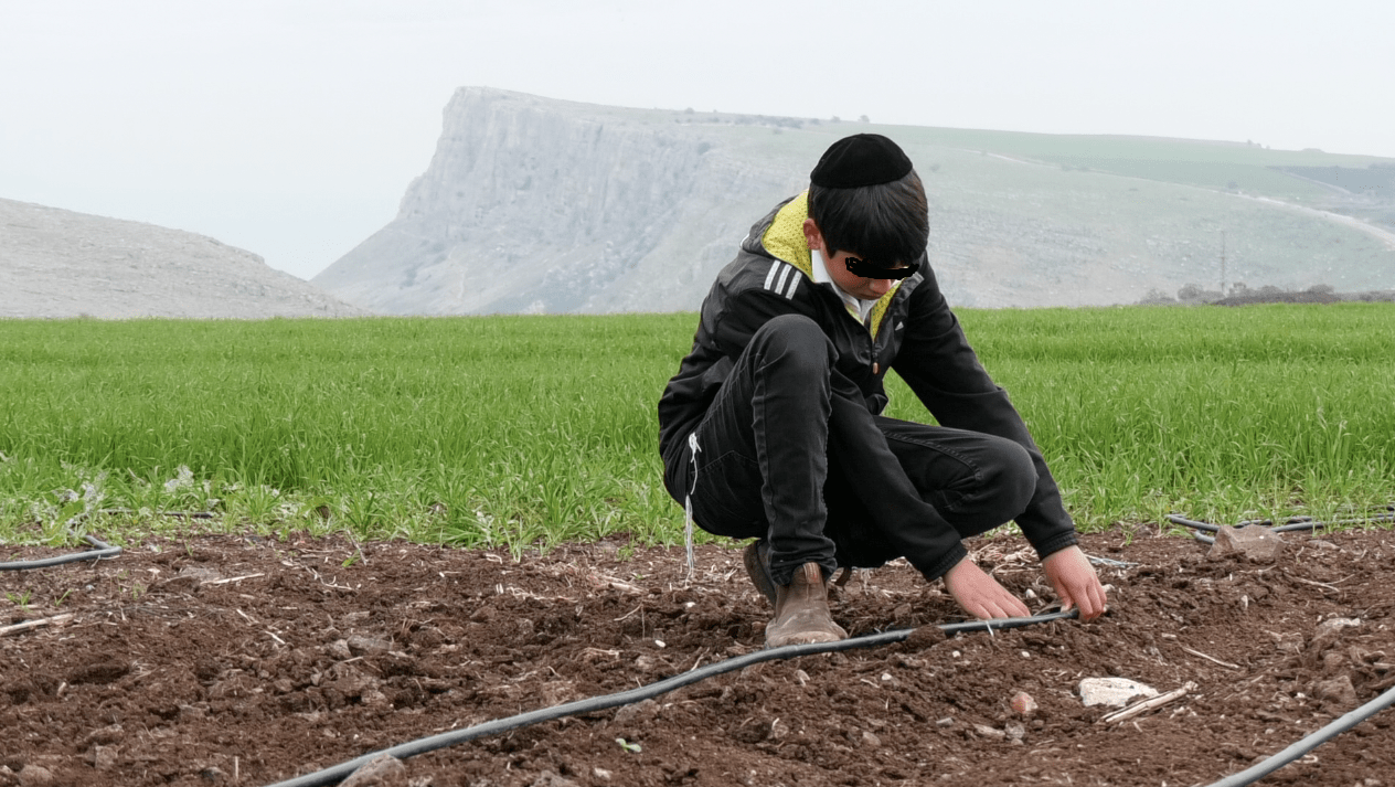 נער עובד בחקלאות על רקע הארבל