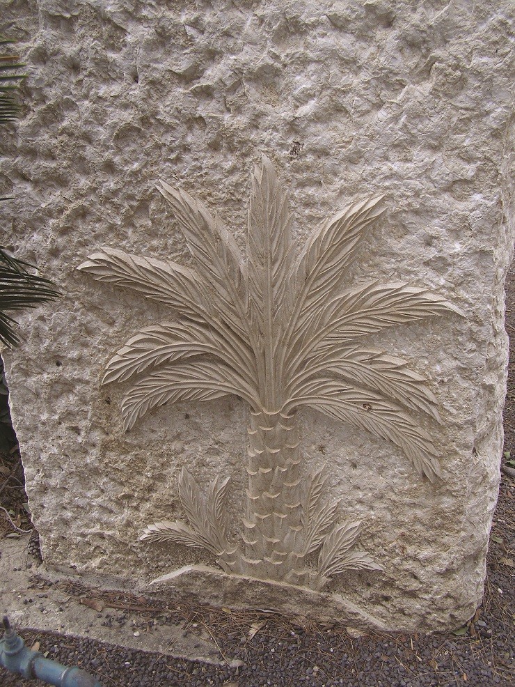 הדקל על קברו של בן ציון ישראלי בכנרת צילום רן בר