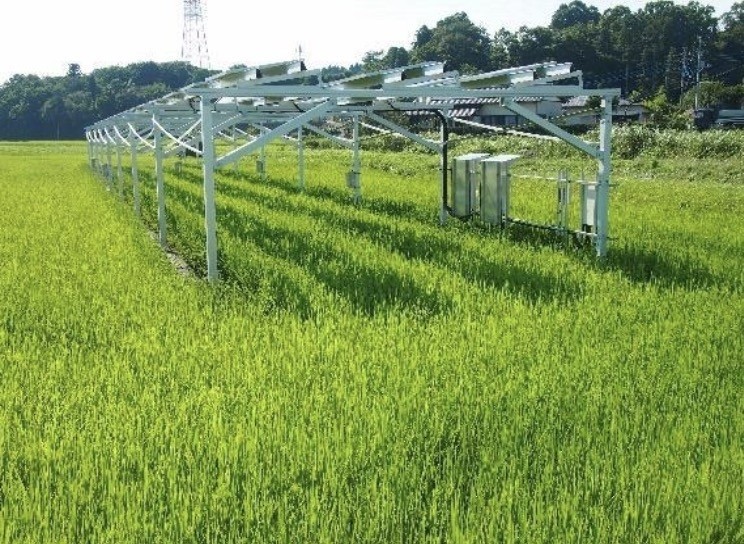 Solar Sharing dual use test site on paddy rice in Chiba Prefecture Japan