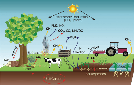 חקלאות והתחממות גלובאלית