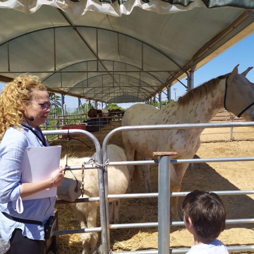 וילנאי משוחחת עם ילד לצד סוס עיוור בחווה