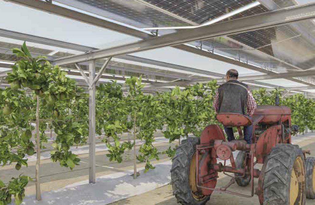 אנרגיה סולארית קרקע לחקלאות
