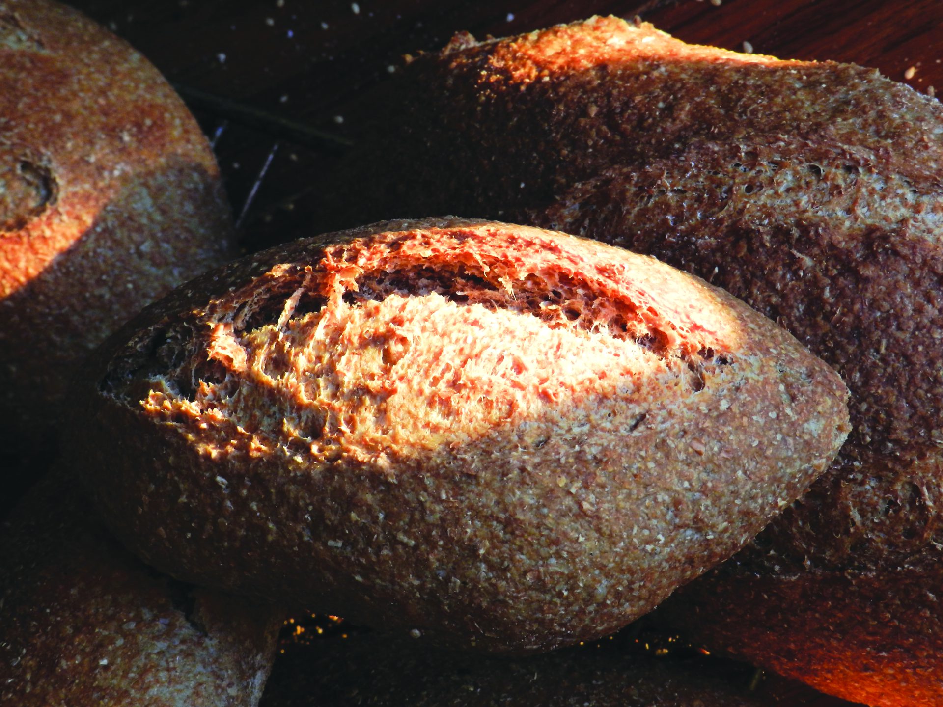 דוגמא ללחם מחיטה עתיקה של יפתח ברקת צילום מאלבום משפחתי
