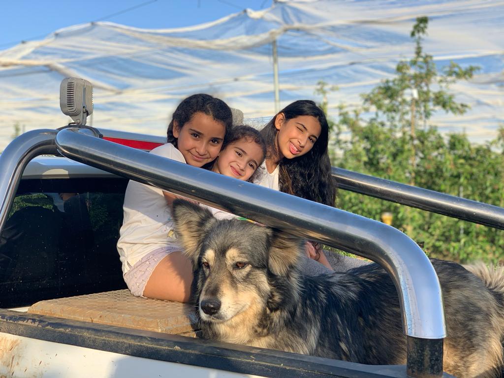 בנות משפחת בלאו במטע מימין ליאל שקד ודניאל עם הכלבה קאי
