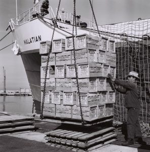העמסת תפוזים בנמל אשדוד 1965