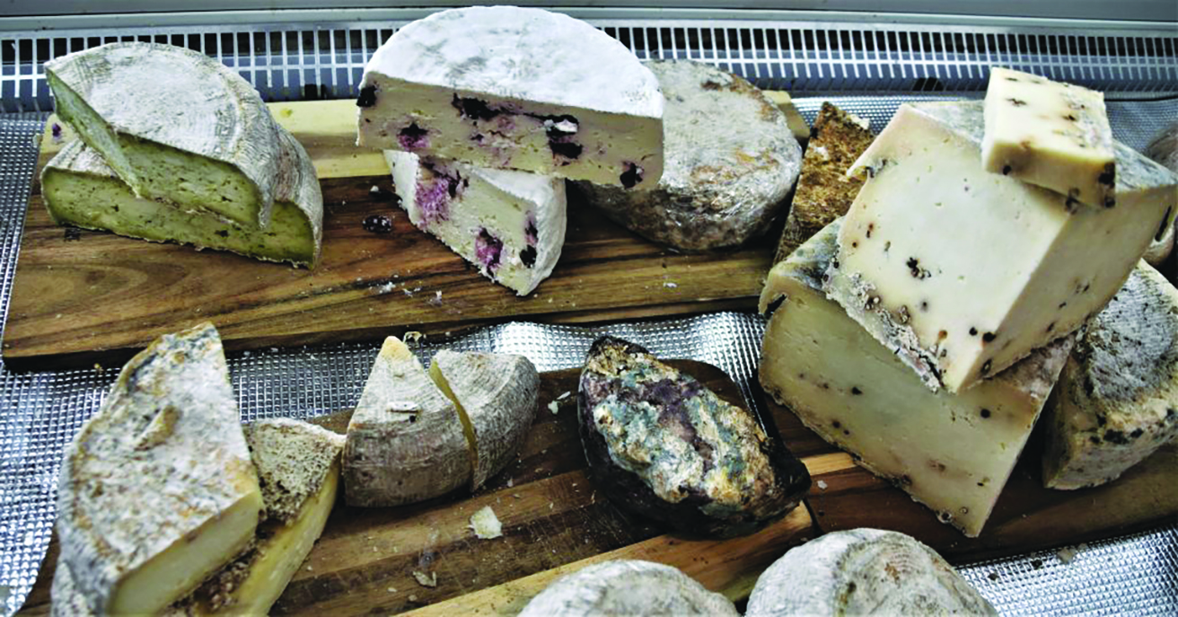 מבחר גבינות מיושנות במחלבת נטור דני בר