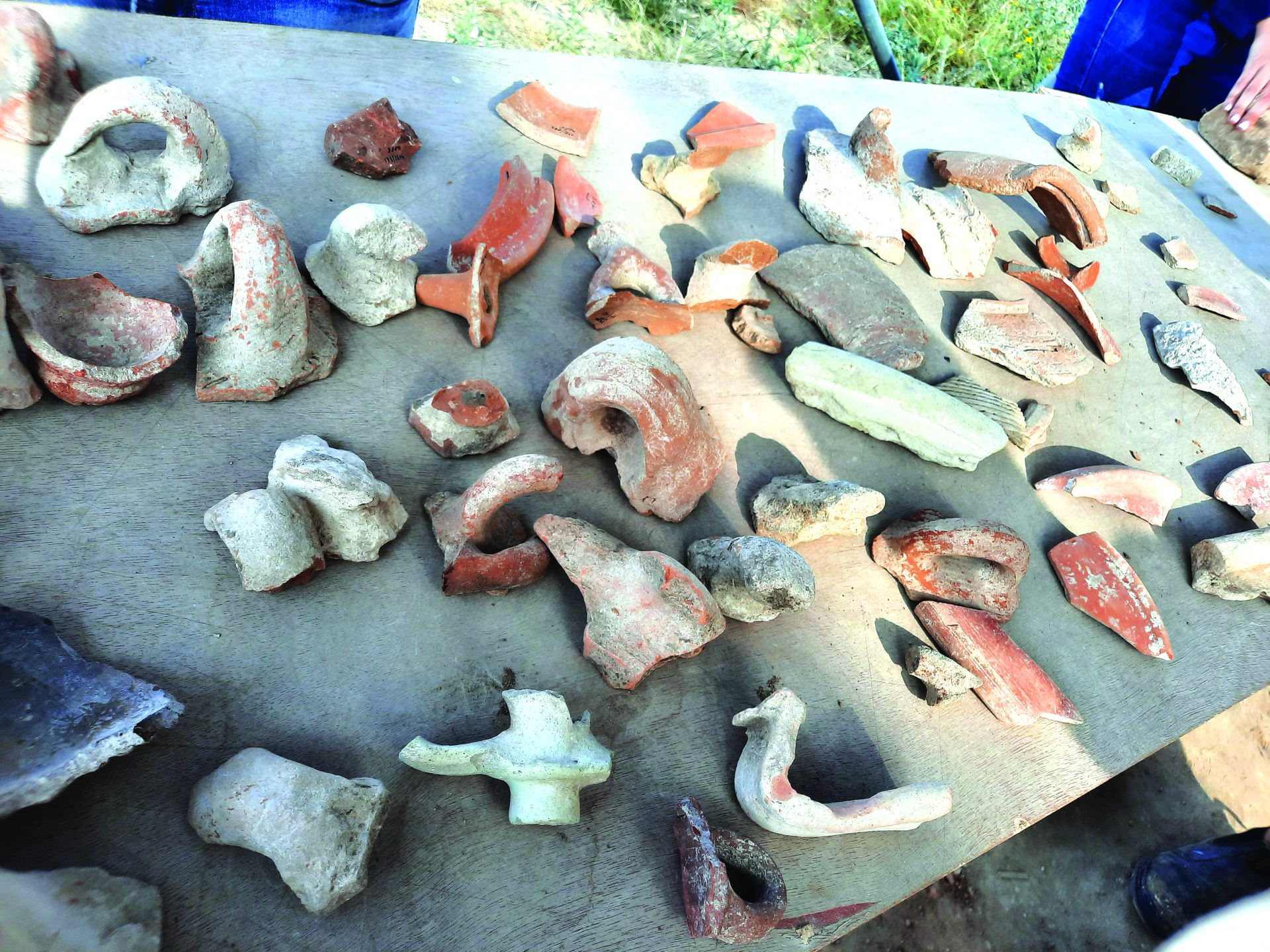 שברי כלי חרס שנמצאו בחפירות ניר ישראל. צילום עדינה בר אל