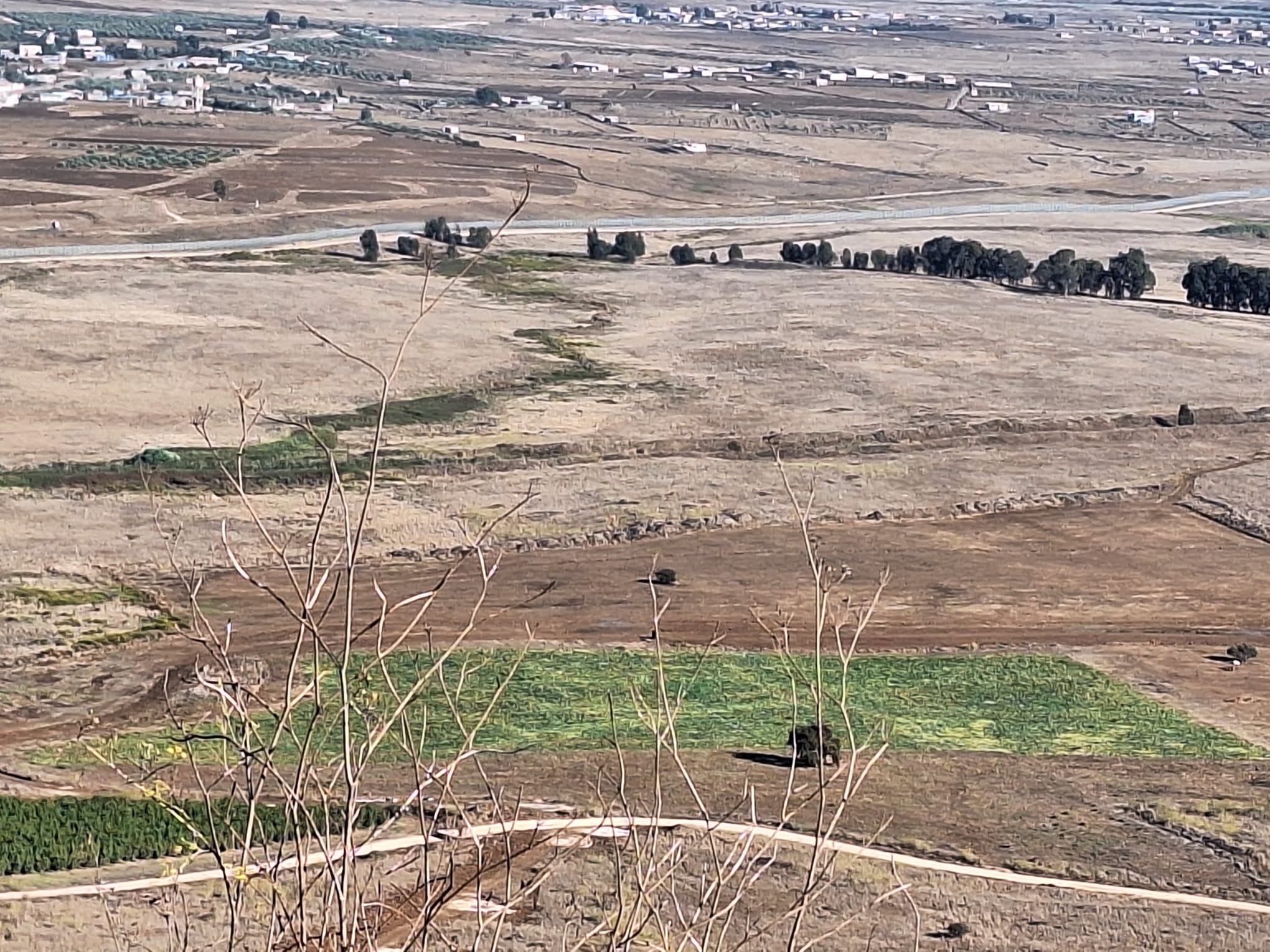 שטח המקשה שנאסרה הכניסה אליו