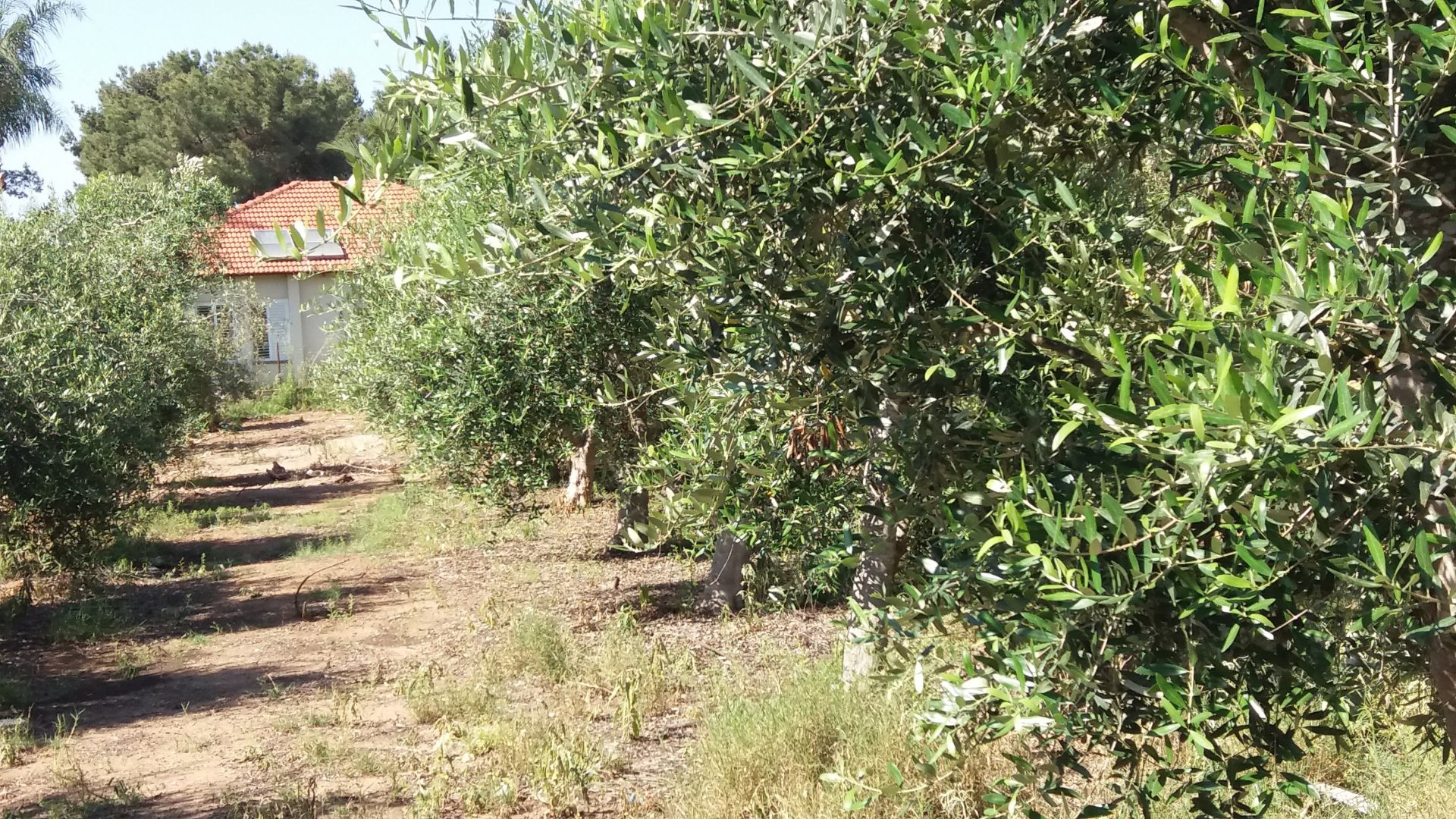 תמיד נשאף לשוויוניות אבל שלמות לעולם אינה אפשרית