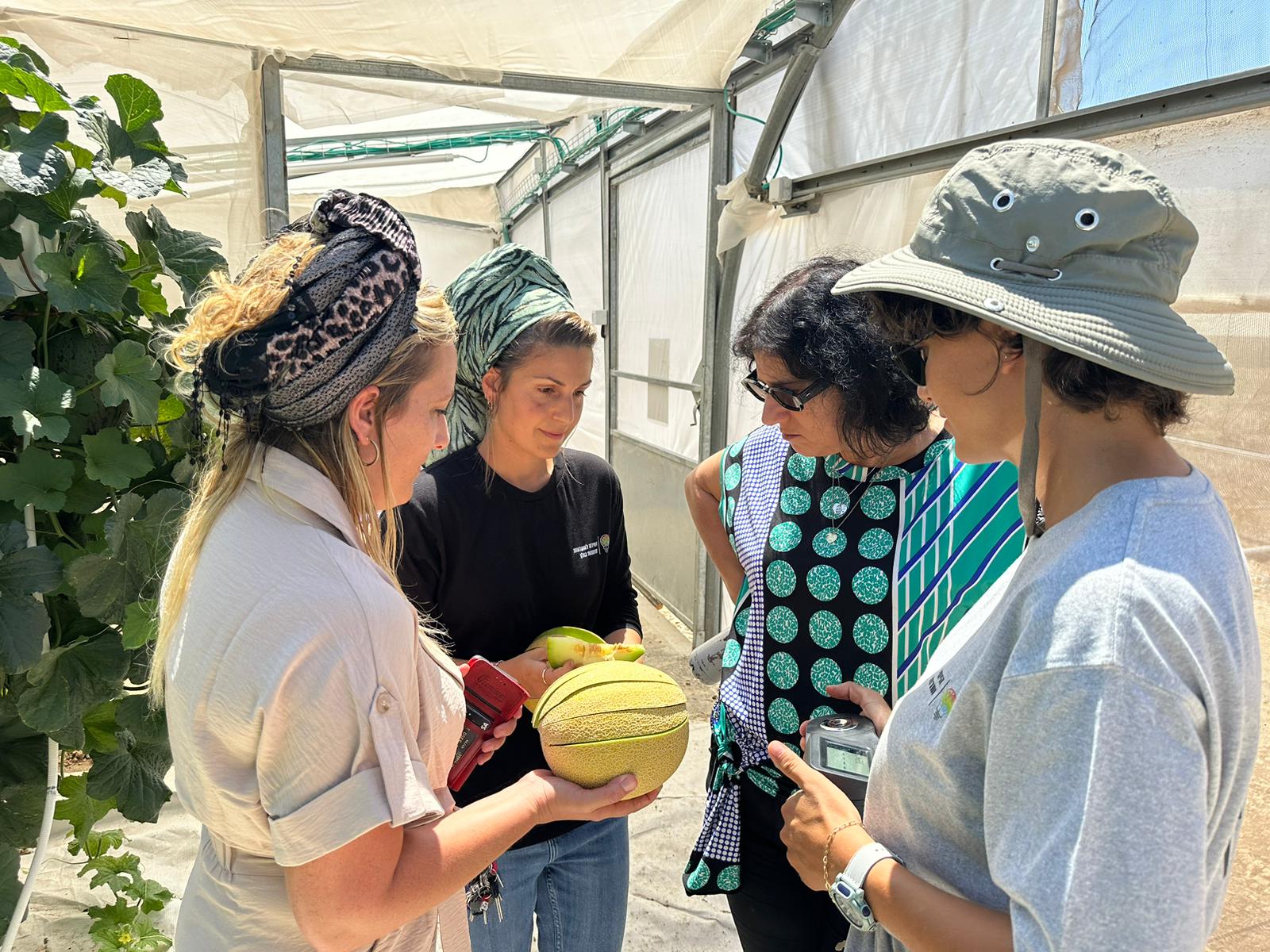 ביקור מנכל משרד החקלאות ובטחון המזון והמדענית הראשית ביחידה לחקלאות וחדשנות גולן צ. היחידה לחקלאות וחדשנות גולן .jpg4