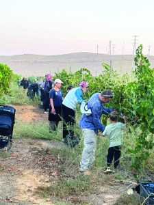 בציר המשפחות של השומר החדש במצפה רמון