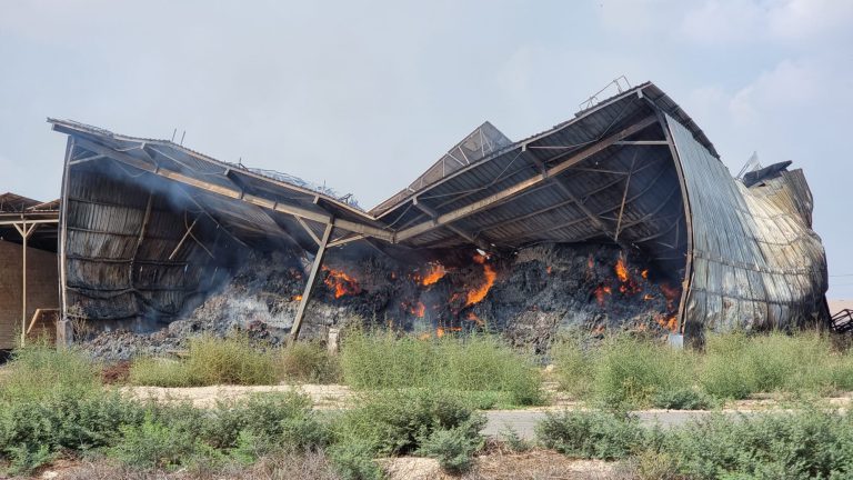 רפת עלומים3 צילום סטיבי מרקוס סגן מנהל הרפת