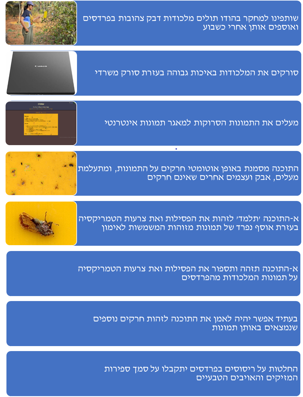 איור 2 תמונה