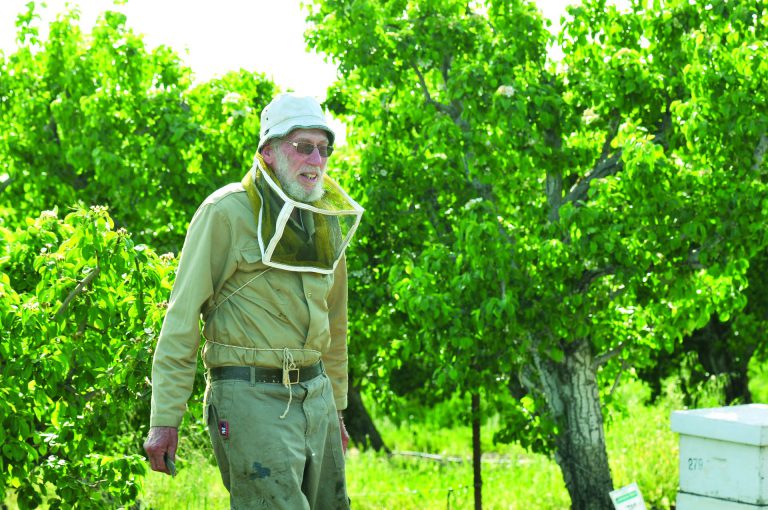 בנץ הנאמן צילום יהודה ויינברג