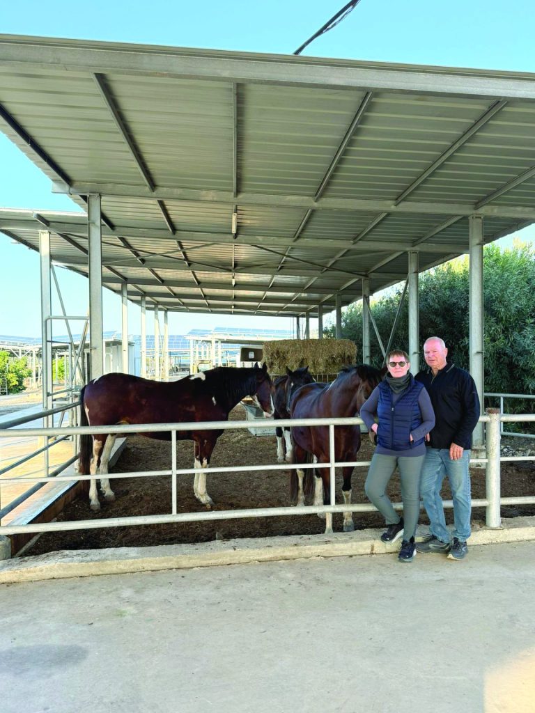 ענת ואייל ירדנאי בחווה הטיפולית שפתחו בחצר ביתם