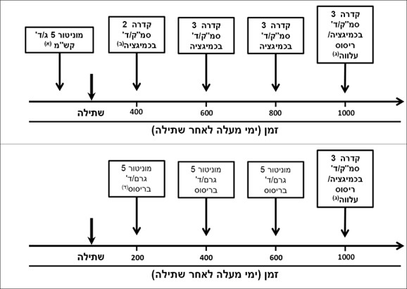 איור 1