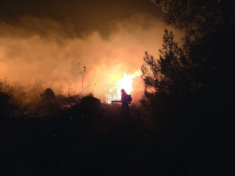 כיבוי שריפות נושא שדורש טיפול בישראל