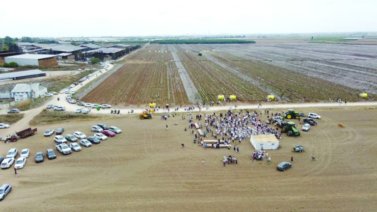 מסיבת קטיף כותנה משותפת לקהילות נגבה ומשואות יצחק. חול המועד סוכות תשפד