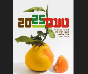 צילום מסך 2025 02 24 160100