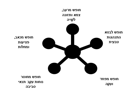 צילום מסך 2025 04 17 155755