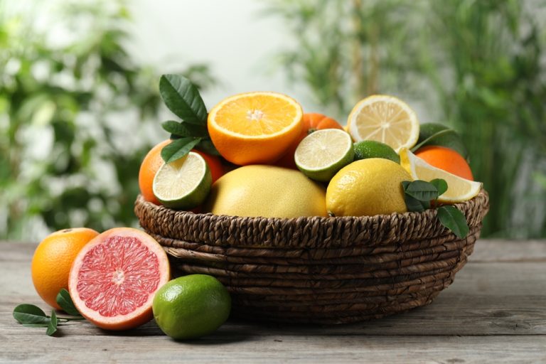 shutterstock 2442661327