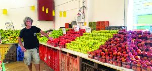 אבי פיין הראשון שהתחיל במכירה ישירה של תוצרת חקלאית לצרכן קרדיט משק פיין