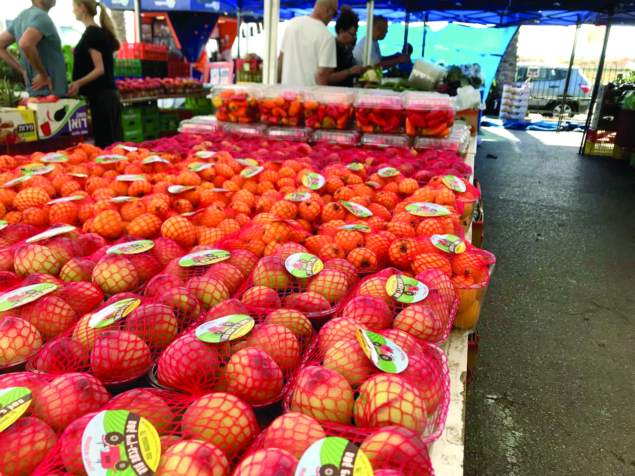 המשותף לכולנו היה שפשוט נמאס לנו מפערי התיווך האדירים
