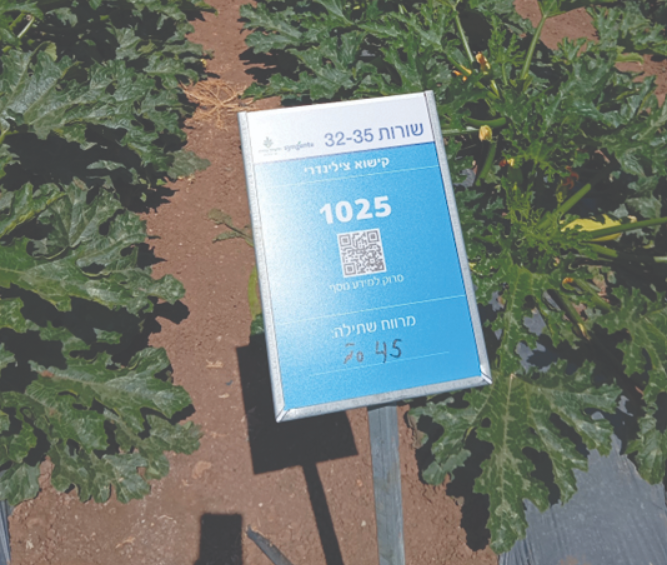 צילום מסך 2025 05 19 104045