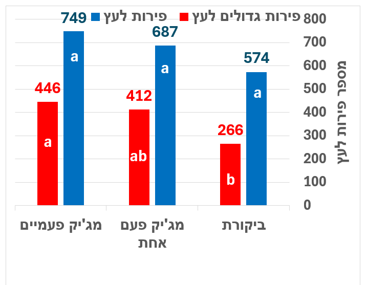 צילום מסך 2025 05 21 192338