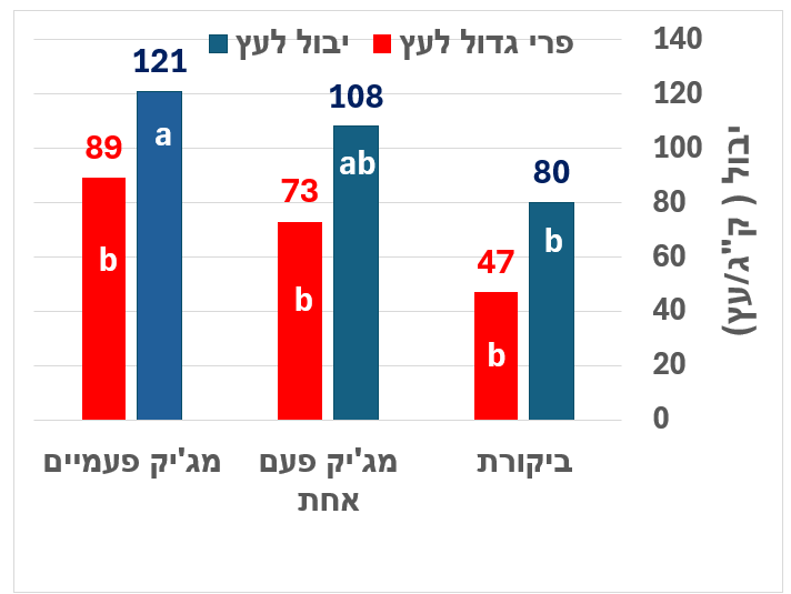 צילום מסך 2025 05 21 192456