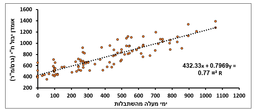 צילום מסך 2025 05 28 221218