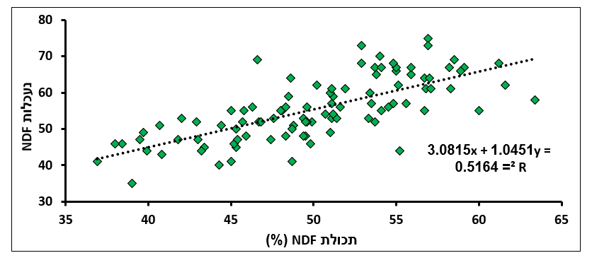 צילום מסך 2025 05 28 221234