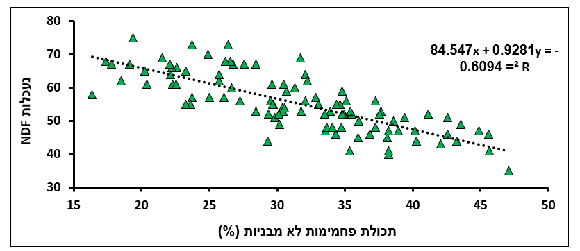 צילום מסך 2025 05 28 221248
