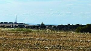 תמונה 1 5ecb413f 6126 42b5 885a 3e00d0436c37