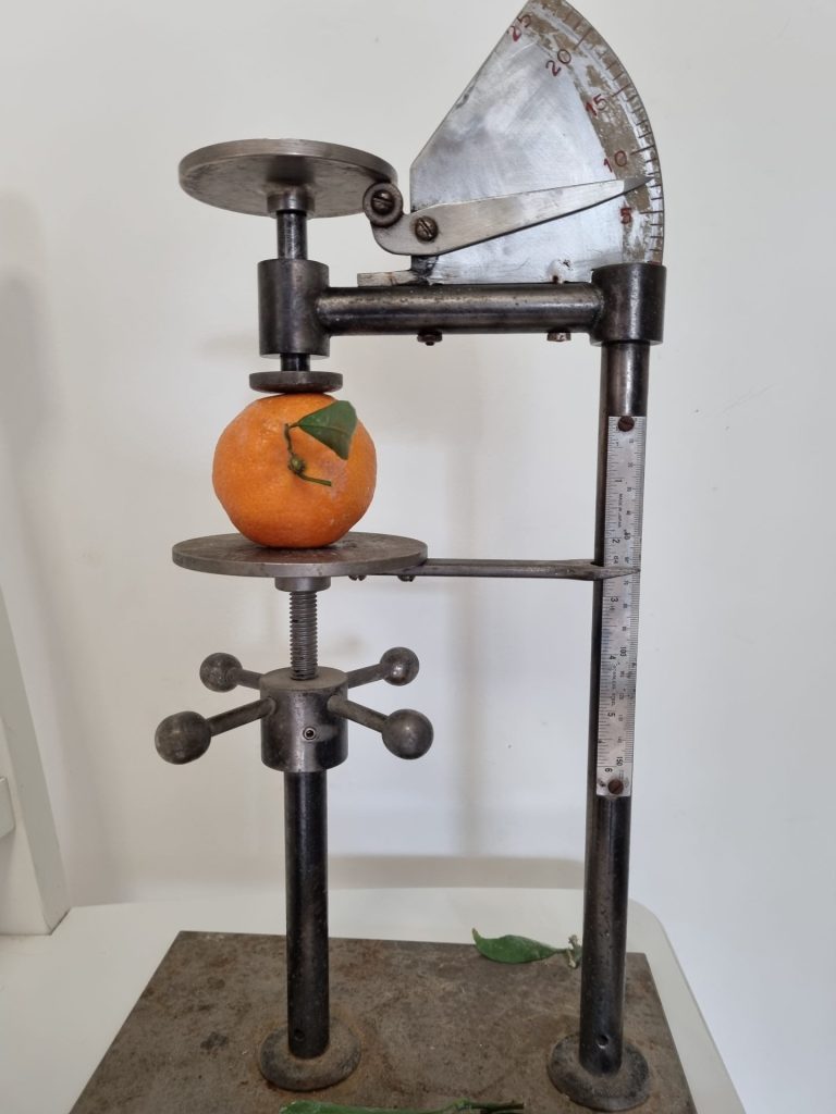 תמונה 2 משמאל