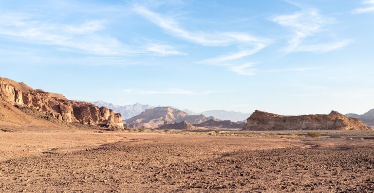 shutterstock 2280570893