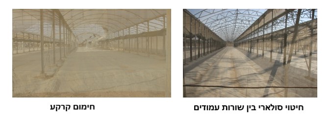 איור 1 1