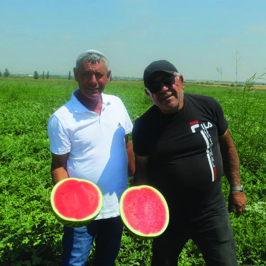 משמאל לימין אבי דהן זל דוד ברוך
