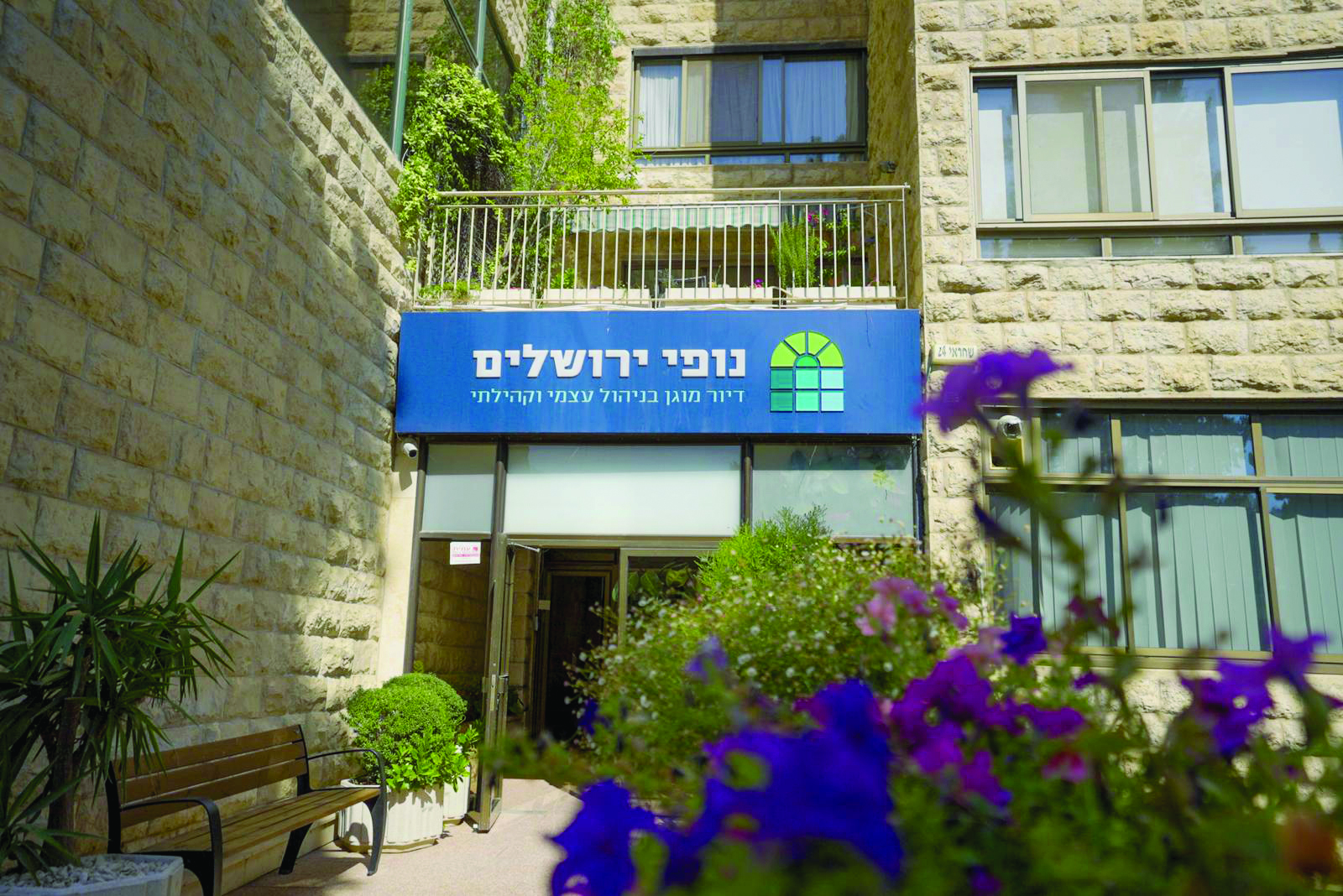 נוי