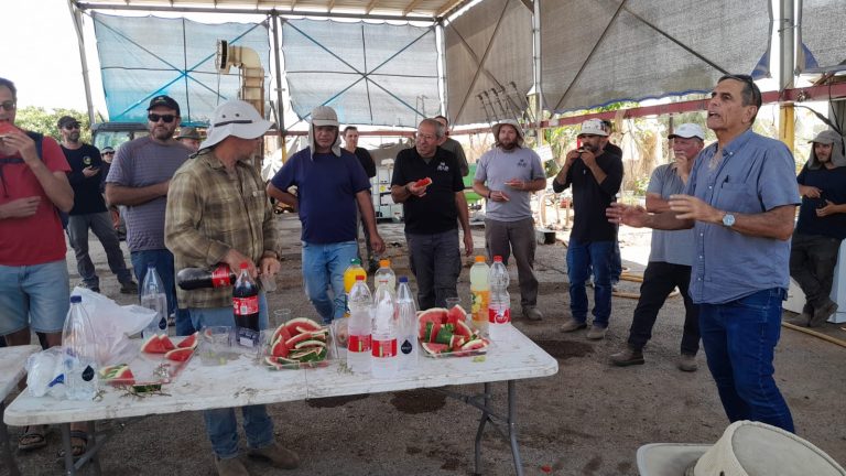 תמונה 3 מנגו