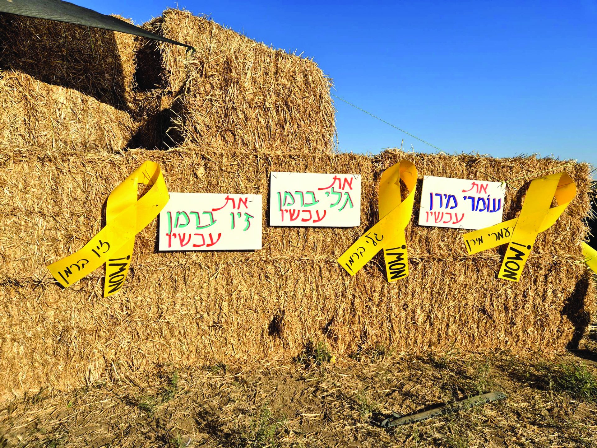 תמונה 6 חבילות קש