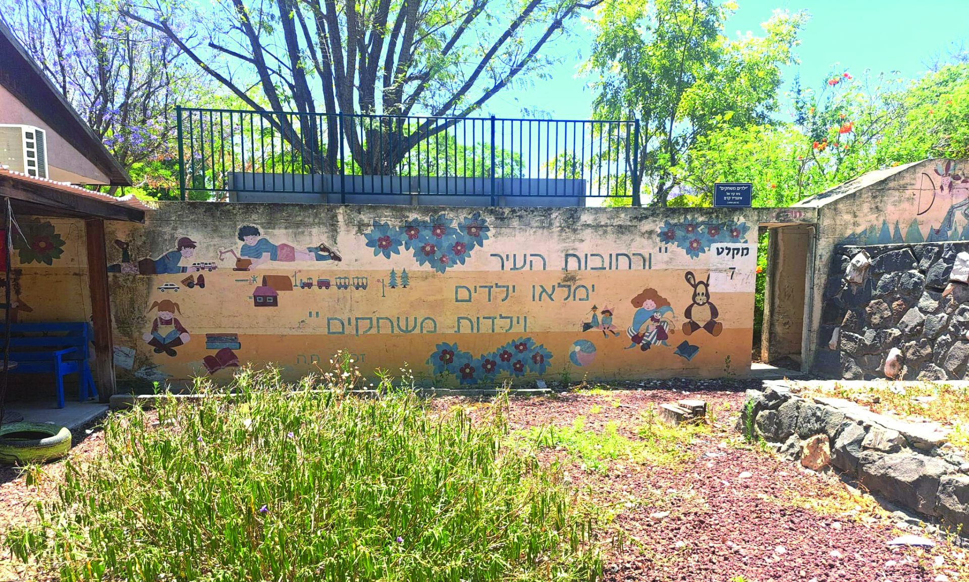 תמונה4