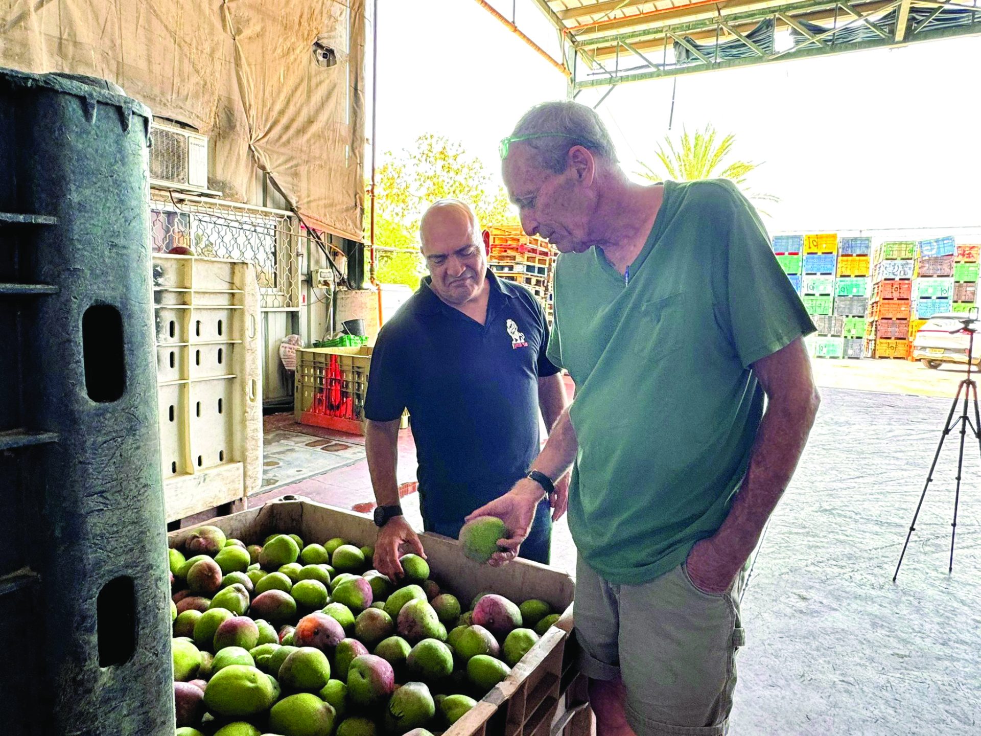זהר כהן מנכל עד כאן עם אבשי בשטח 2