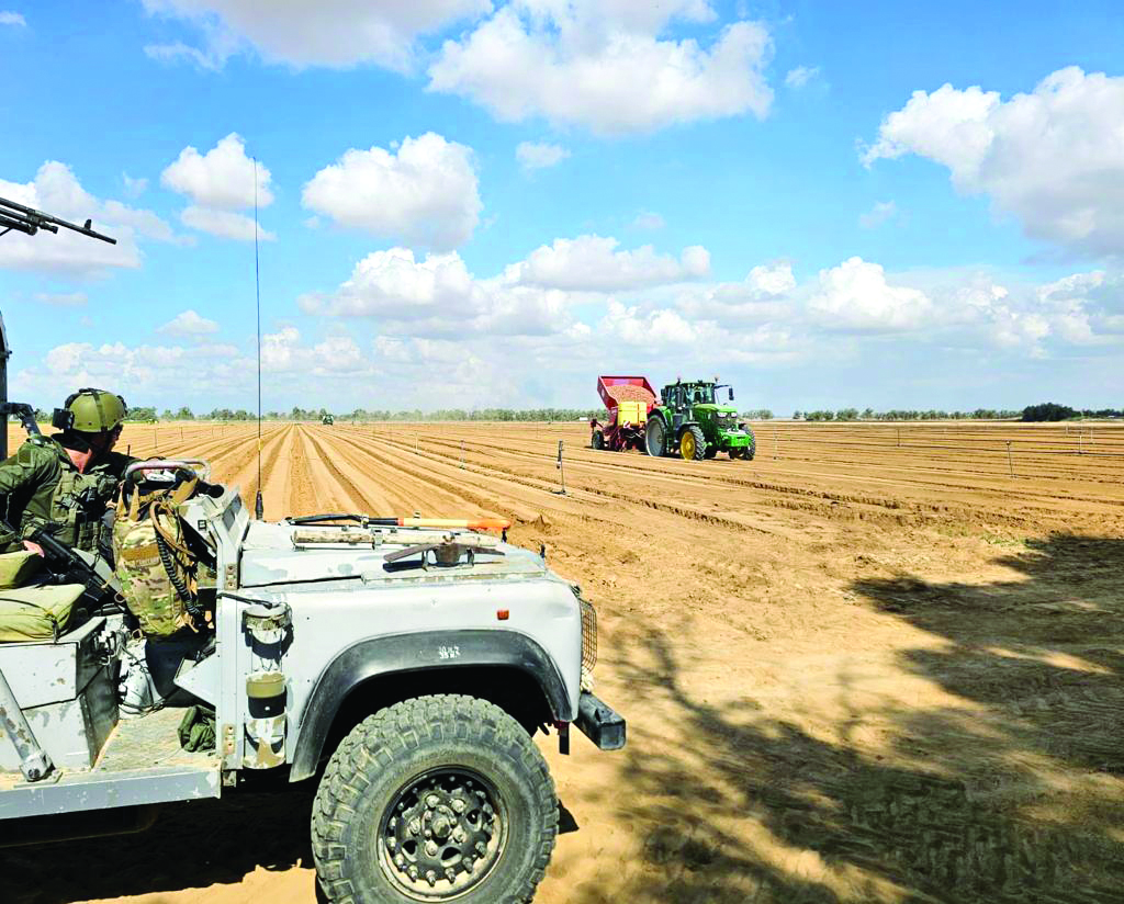 זריעת תפוחי האדמה בשדות לב הנגב צילום משרד החקלאות 1
