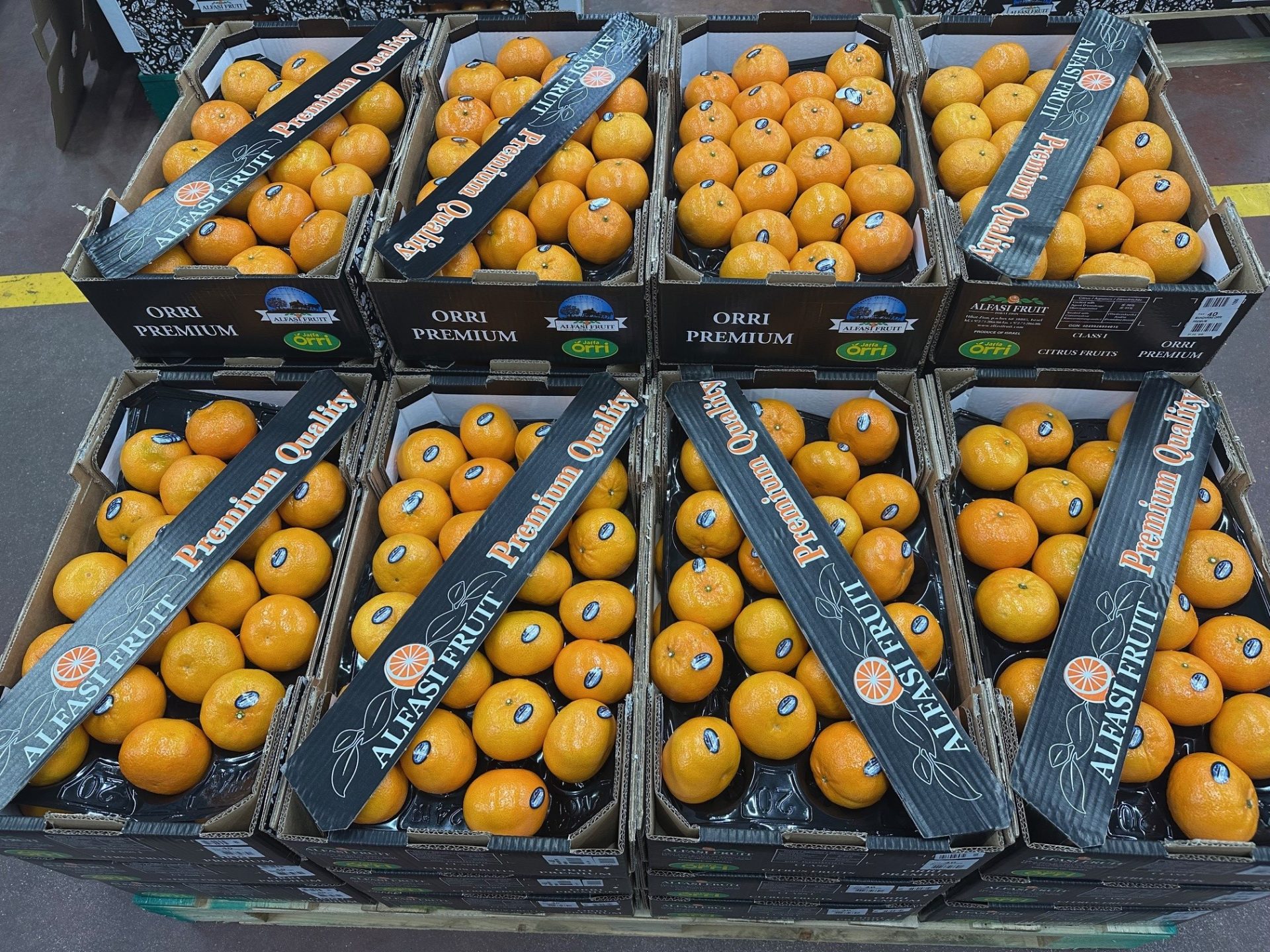 מנדרינות אורי פרימיום של פירות אלפסי