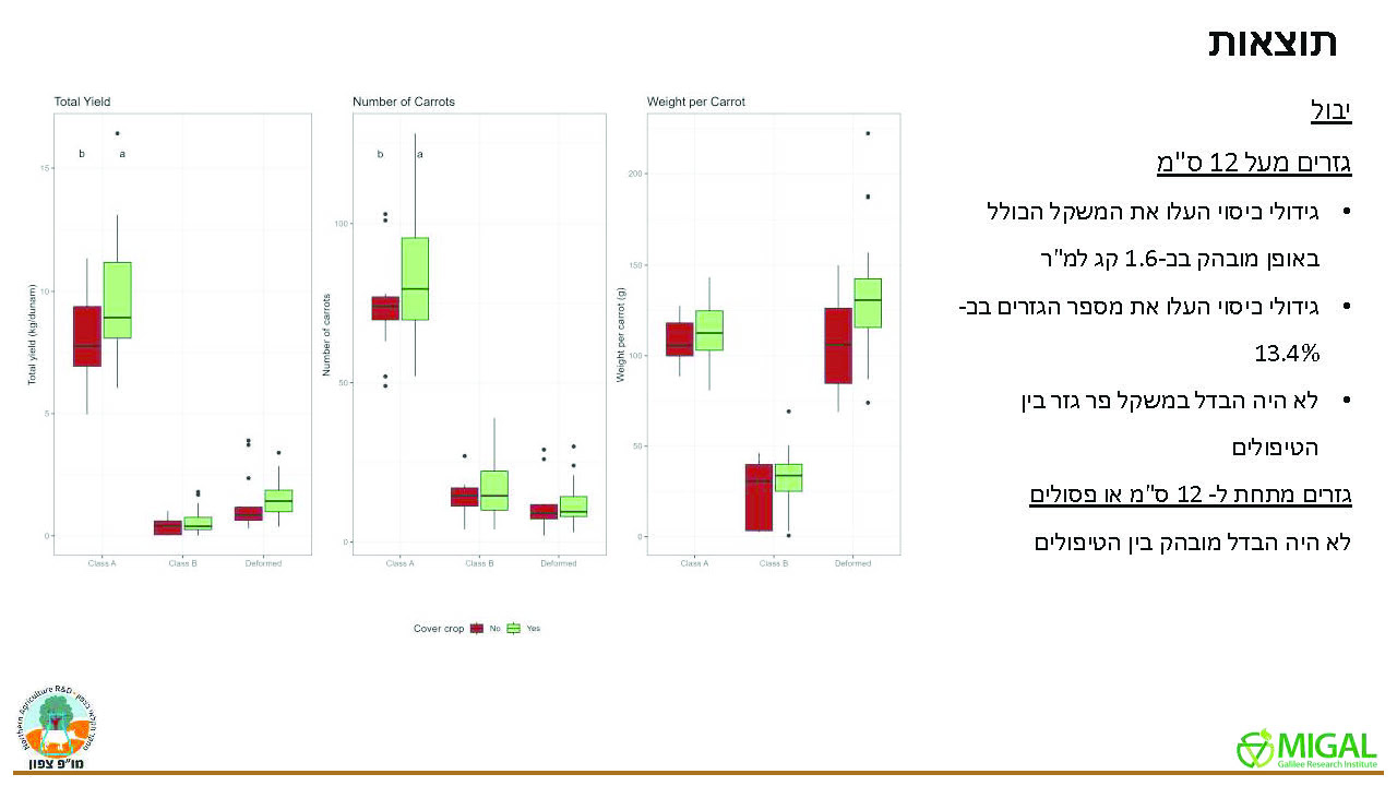 מצליבים