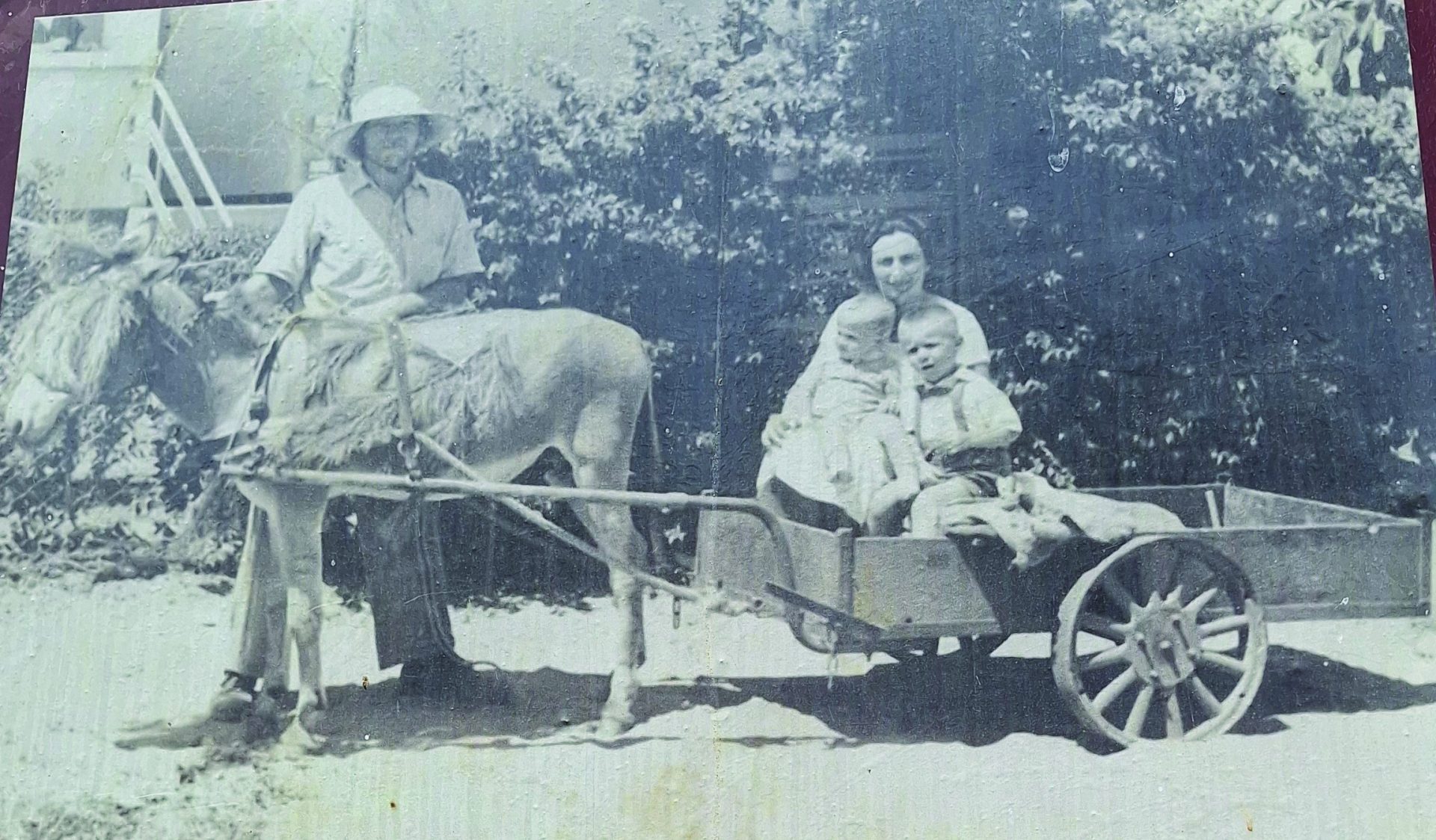 משפחת ריינר רעננה 1938